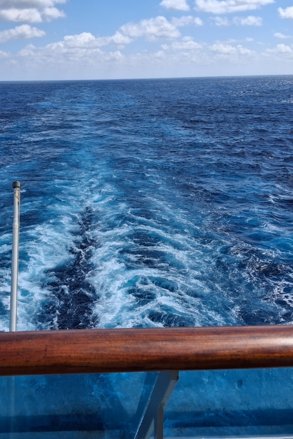 Cruise Brothers Travel Agent Ed Streling
